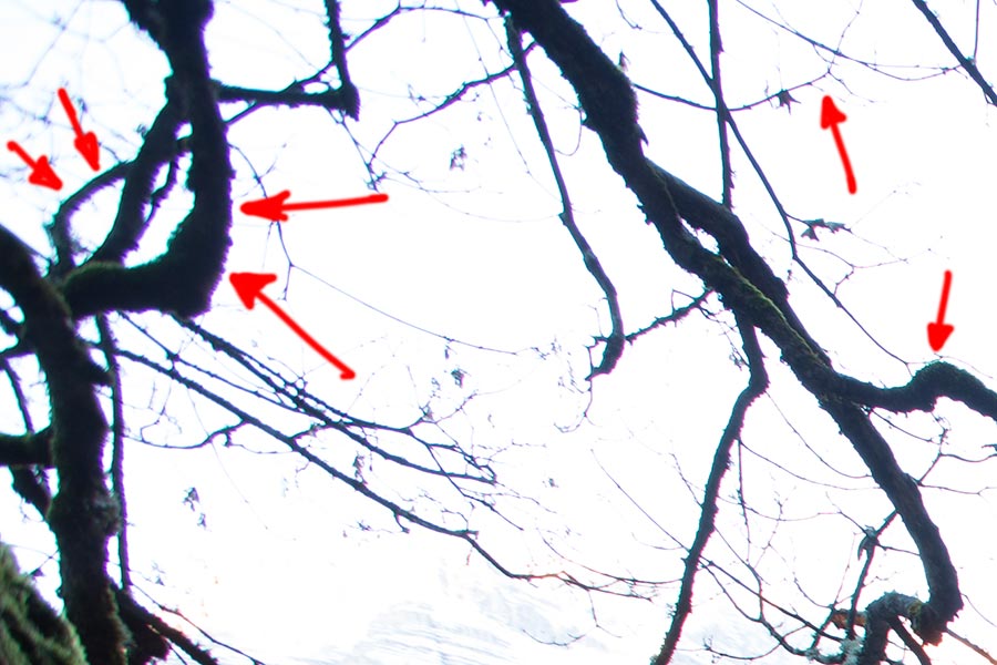 aberrazioni-cromatiche