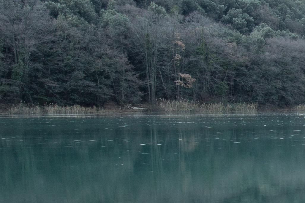 toblino-espo-corretta-by-guerrini-stefano