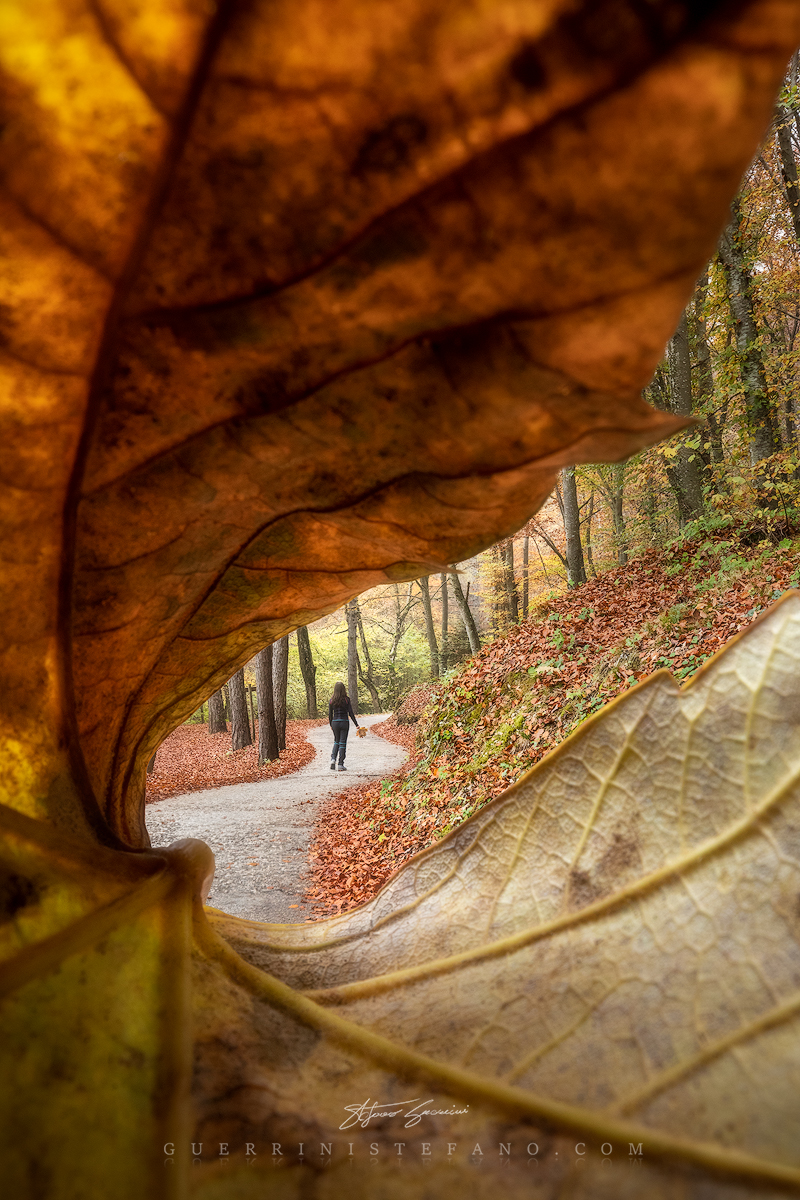Autunno-Dolomiti-Guerrini-Stefano