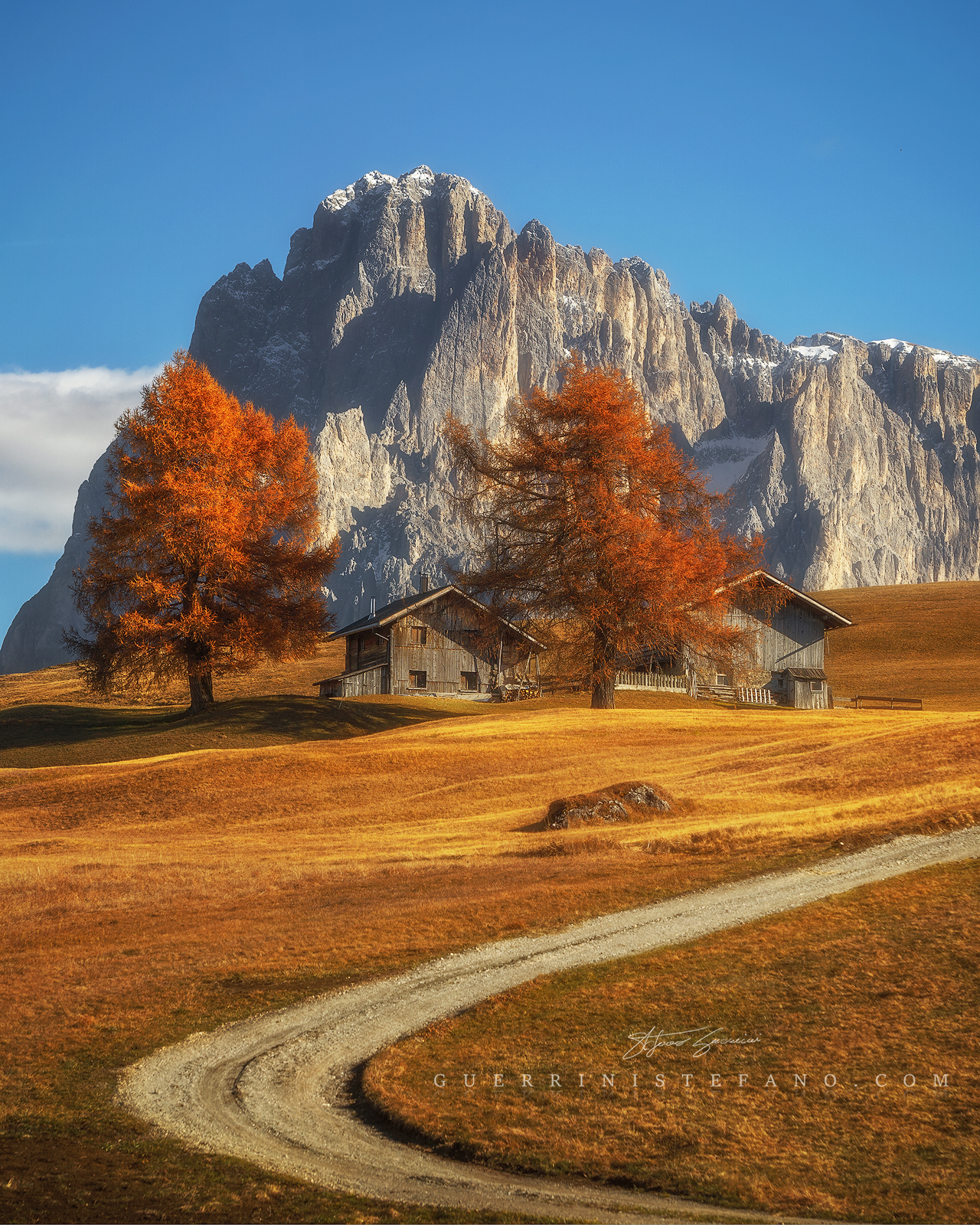 Autunno-Alpe-di-Siusi-by-Guerrini-Stefano